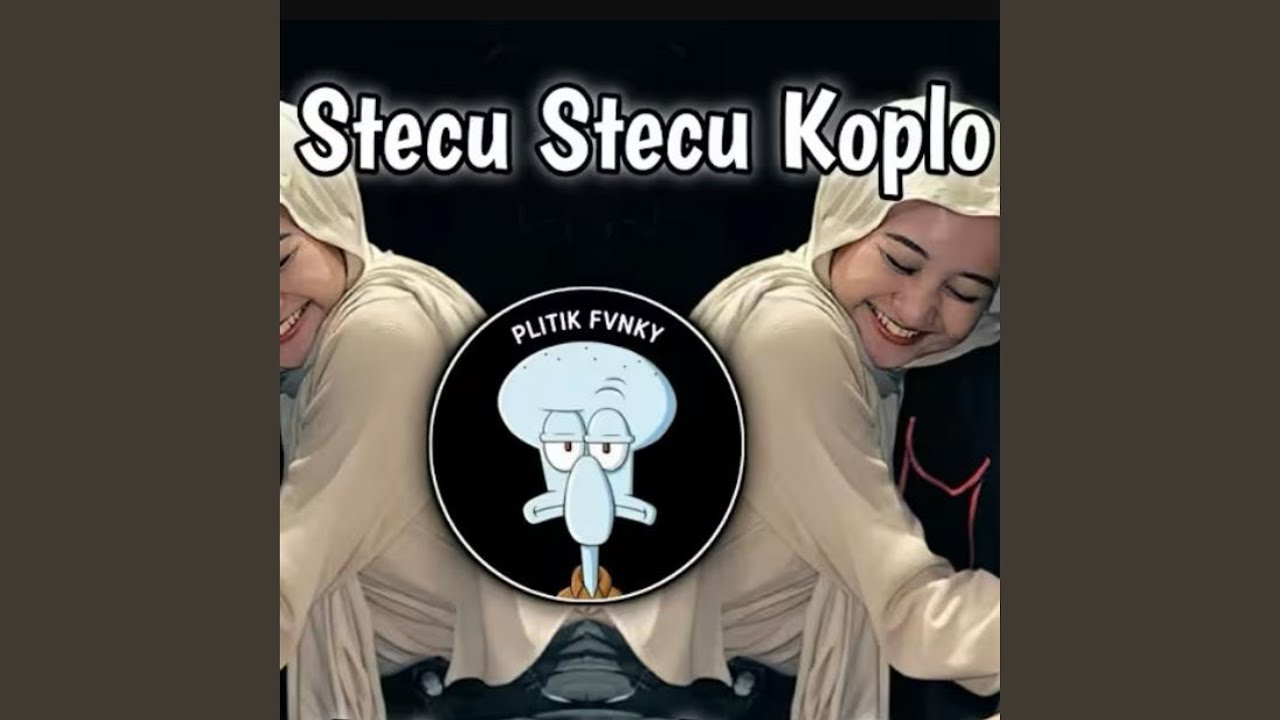 Stecu Stecu Koplo