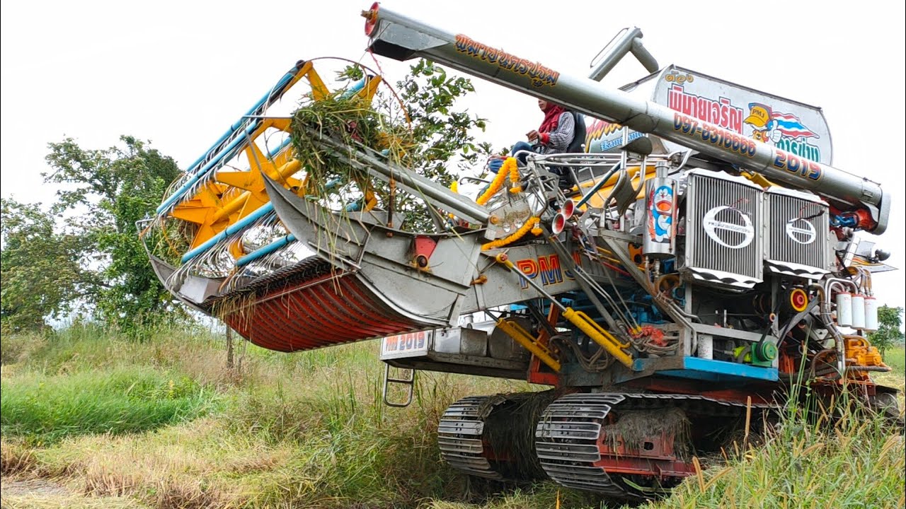 รถเกี่ยวข้าวแรงๆ!!  รถเกี่ยวพิมายเจริญ การช่าง2019