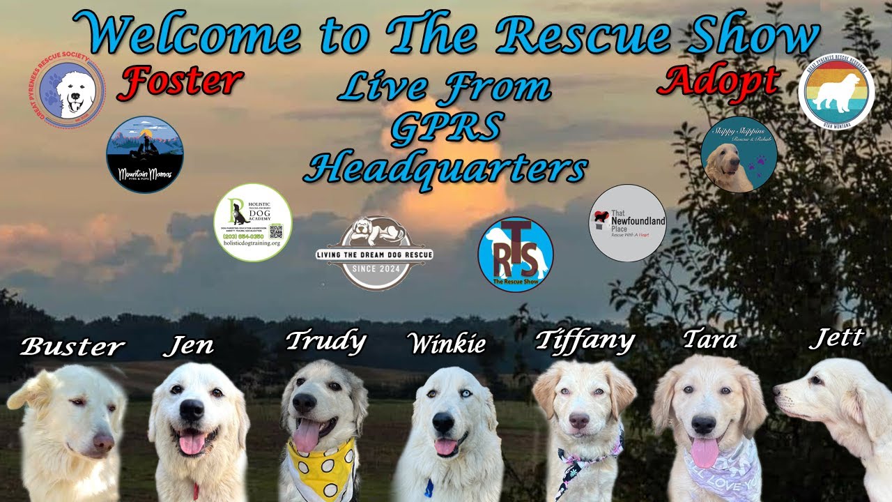The Rescue Show Live 11-16-2025