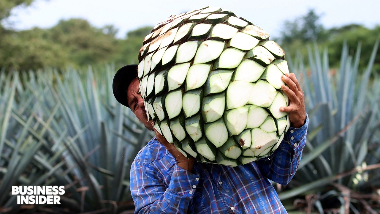 13 Foods You Didn’t Know Came From Mexico