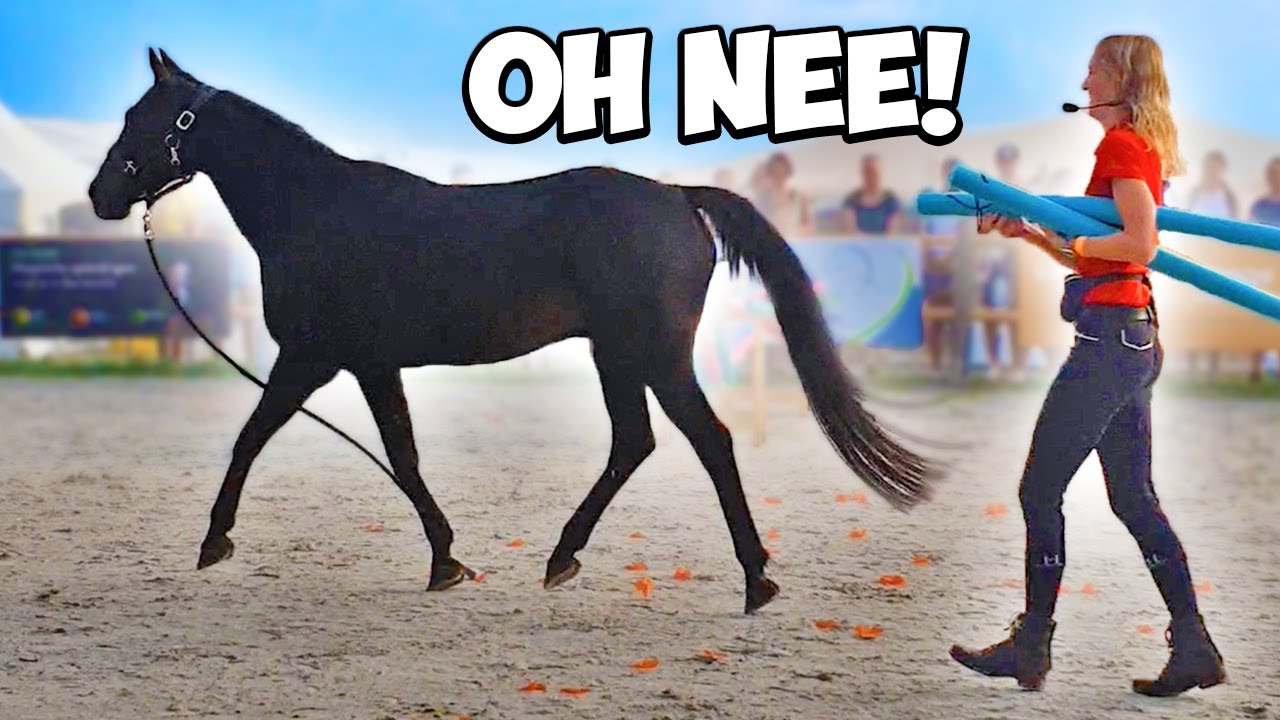 Mijn paard ONTSNAPT tijdens onze HORSE EVENT SHOW! 😅