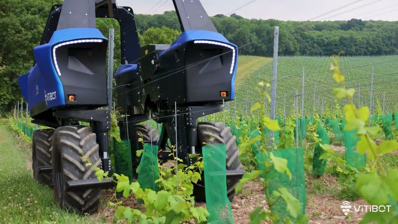 Bakus the Electric vine straddle robot on demonstration in England