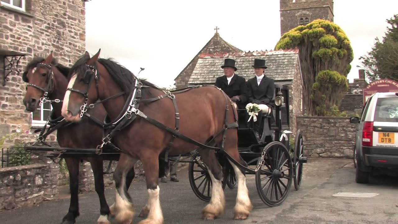 A Life With Heavy Horses