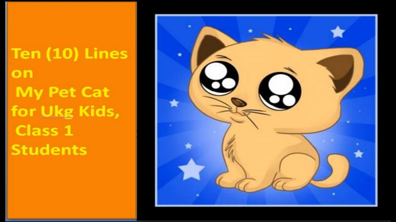 !How to Write a Paragraph about My Pet Cat in English | Composition Writing | Reading Skills