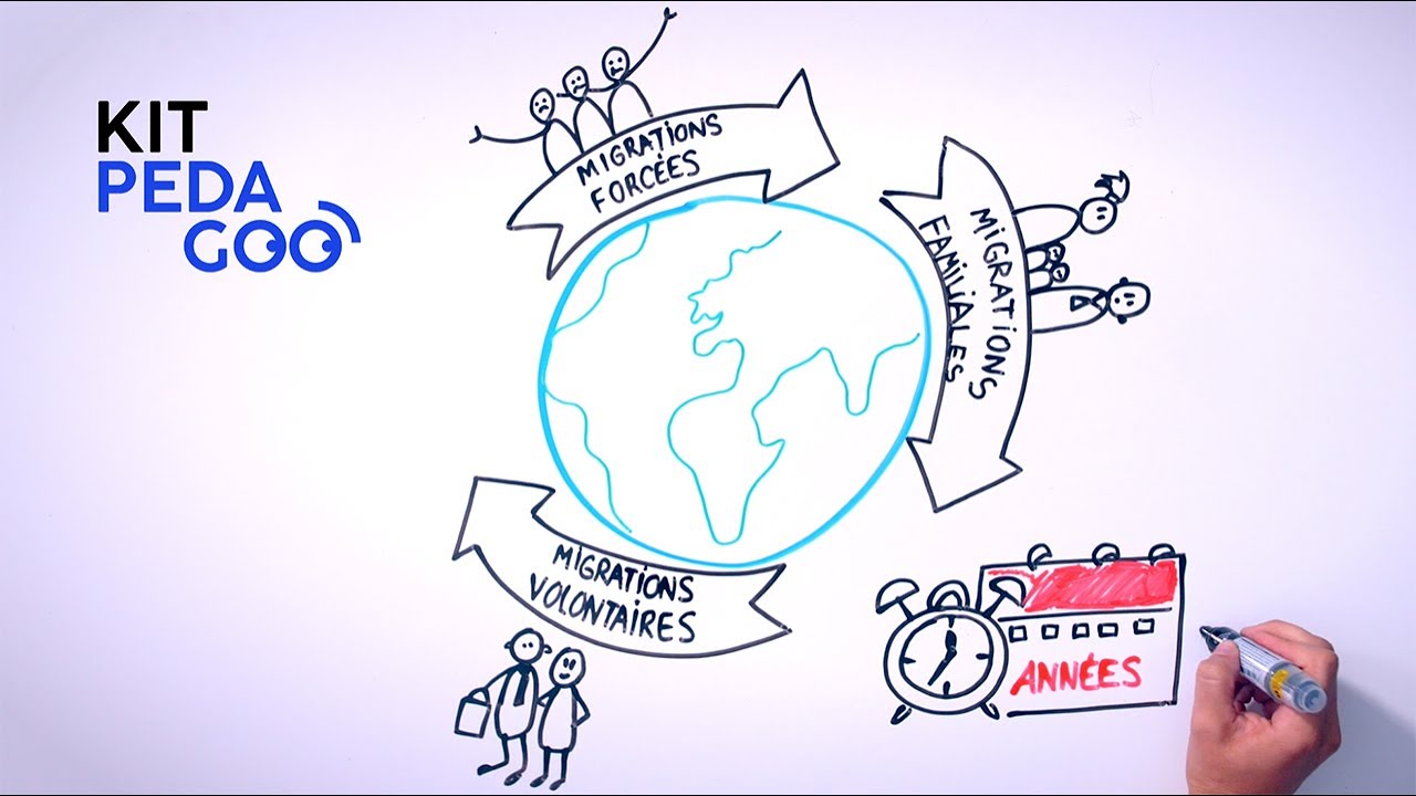 LES CATEGORIES DE MIGRATIONS