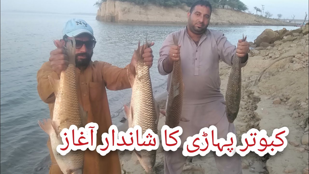 Carp fishing Mangla Kabotar pahari Mangla Dam Fishing Muhammad Saad