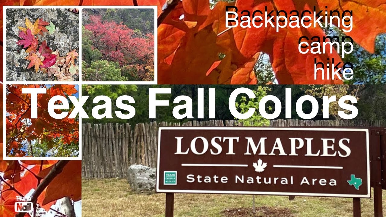Lost Maples Texas Natural Área Backpack to Camp - great fall color hiking - join me …