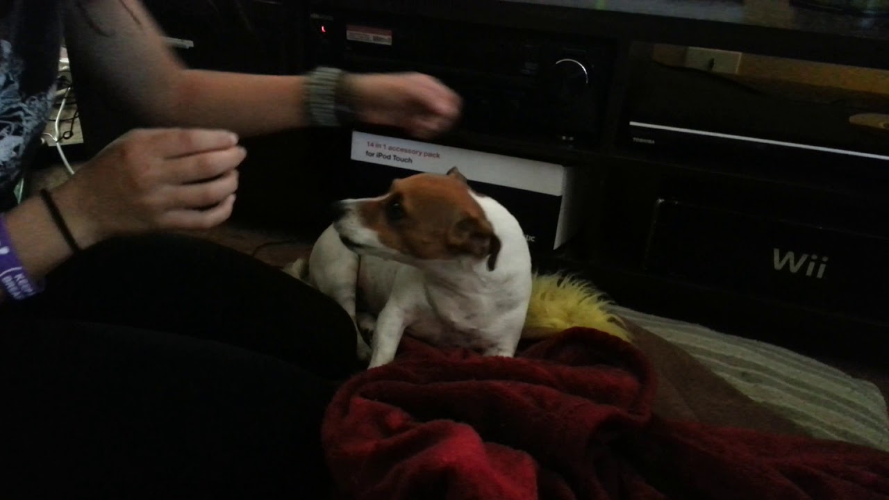 Mollydog . With Courtney