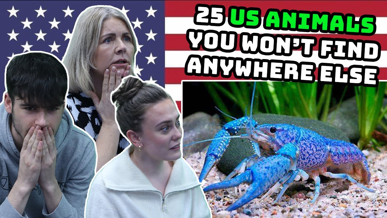 BRITISH FAMILY REACTS | 25 US Animals You Won't Find Anywhere Else!