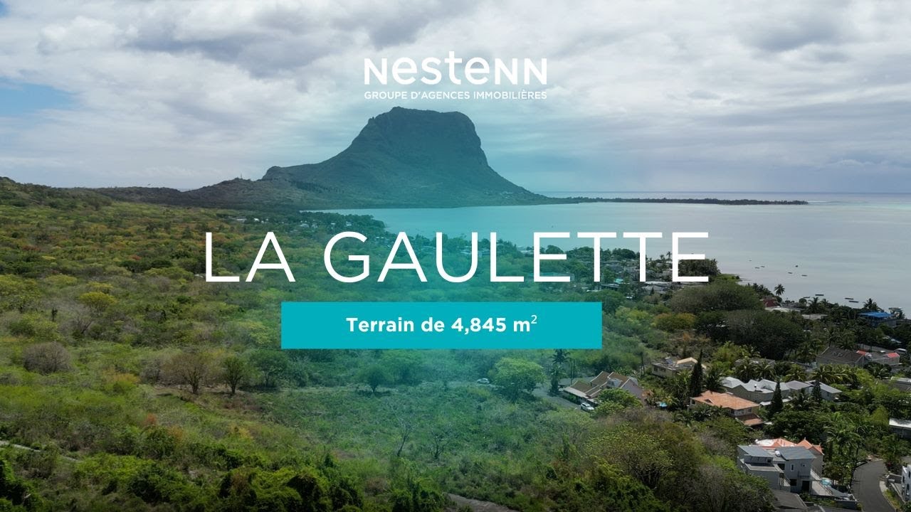 Découvrez ce Terrain Unique à La Gaulette avec Audrey et Ianish 🌴 - VENTE EXCLUSIVE