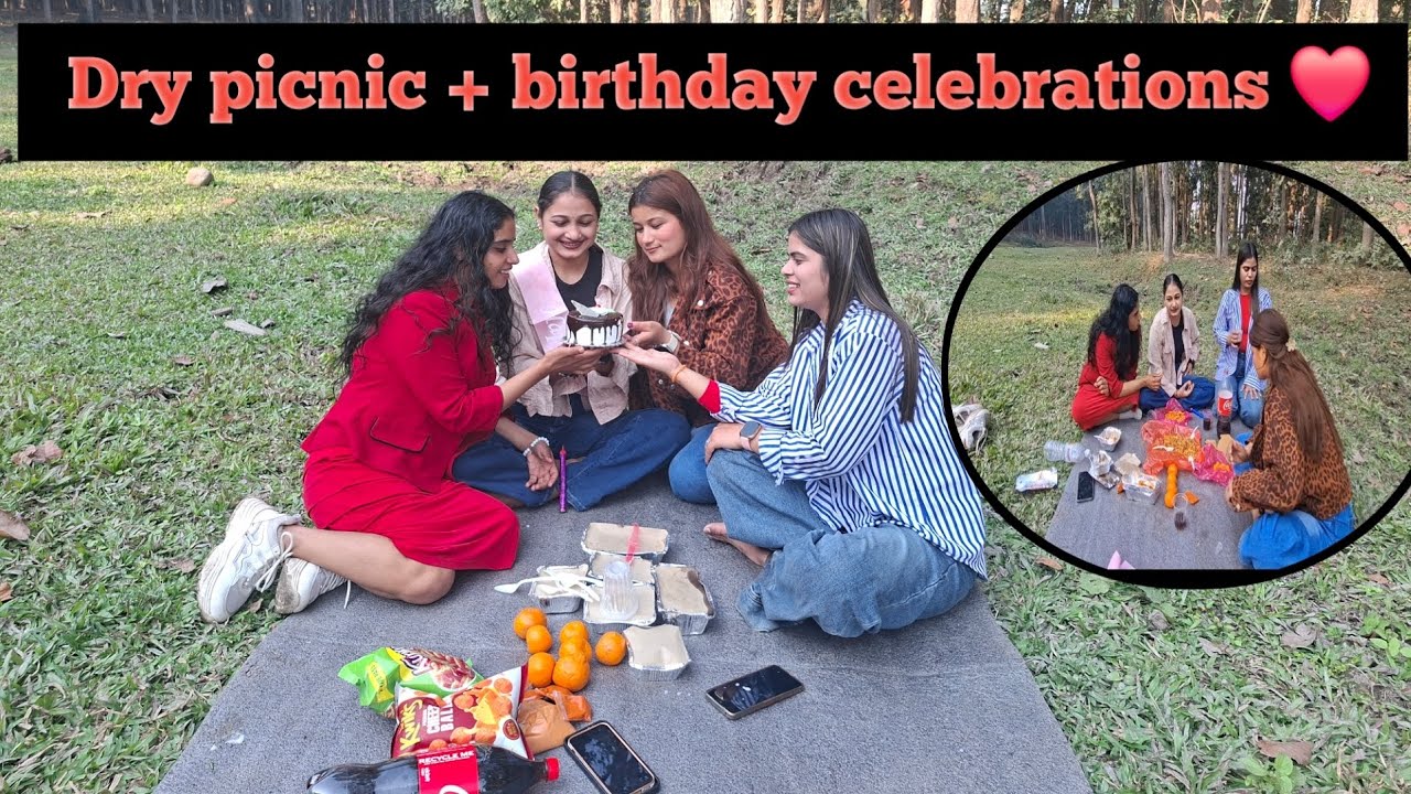 // Dry picnic and birthday celebrations 🍾 ❤️//#birthdayvlog #drypicnic #newvlog #misssmriti #enjoy 