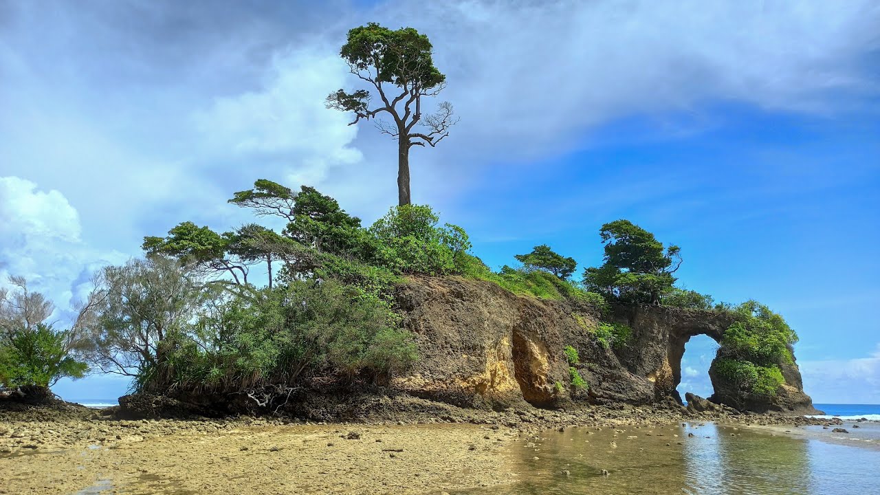 Neil Island  Walking Tour  🇮🇳  |  Secret Paradise found in Andaman  | India Travel