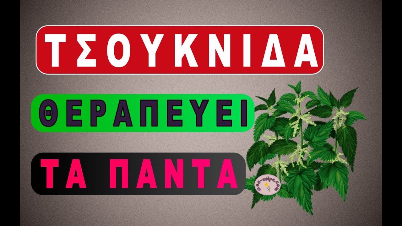 Крапива - трава, которая лечит почти все