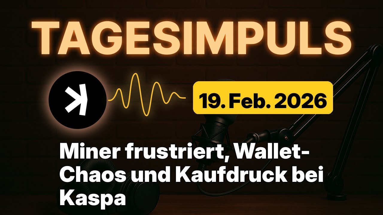 Kaspa Daily (19. Feb) - Miner frustriert, Wallet-Chaos und Kaufdruck bei Kaspa