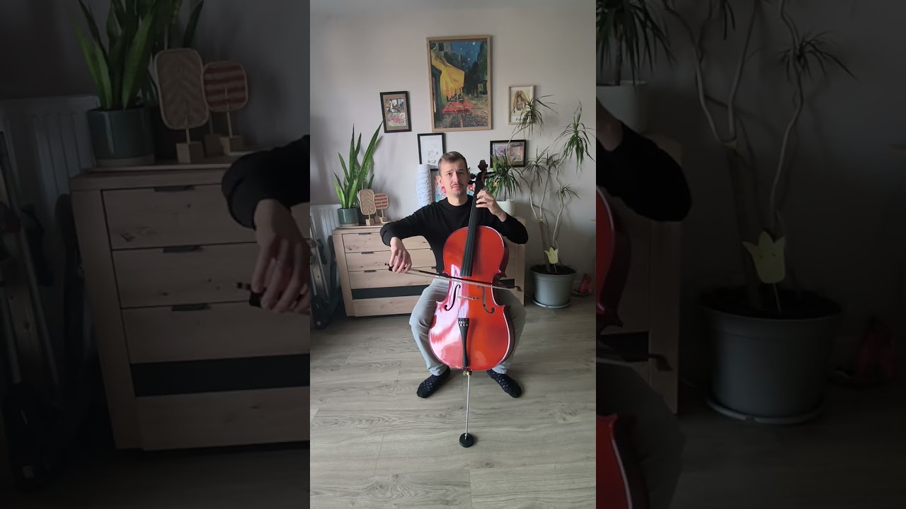 Wiolonczela 4/4 model podstawowy
