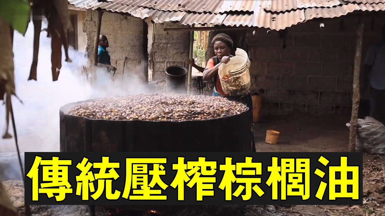 非洲地區最受歡迎的棕櫚油，純手腳製作，城里人肯定沒見過
