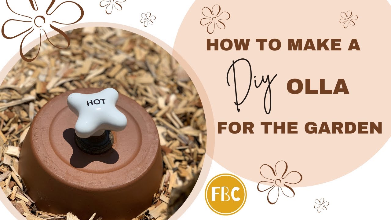 How to Make a DIY Olla-Oya Clay Pots