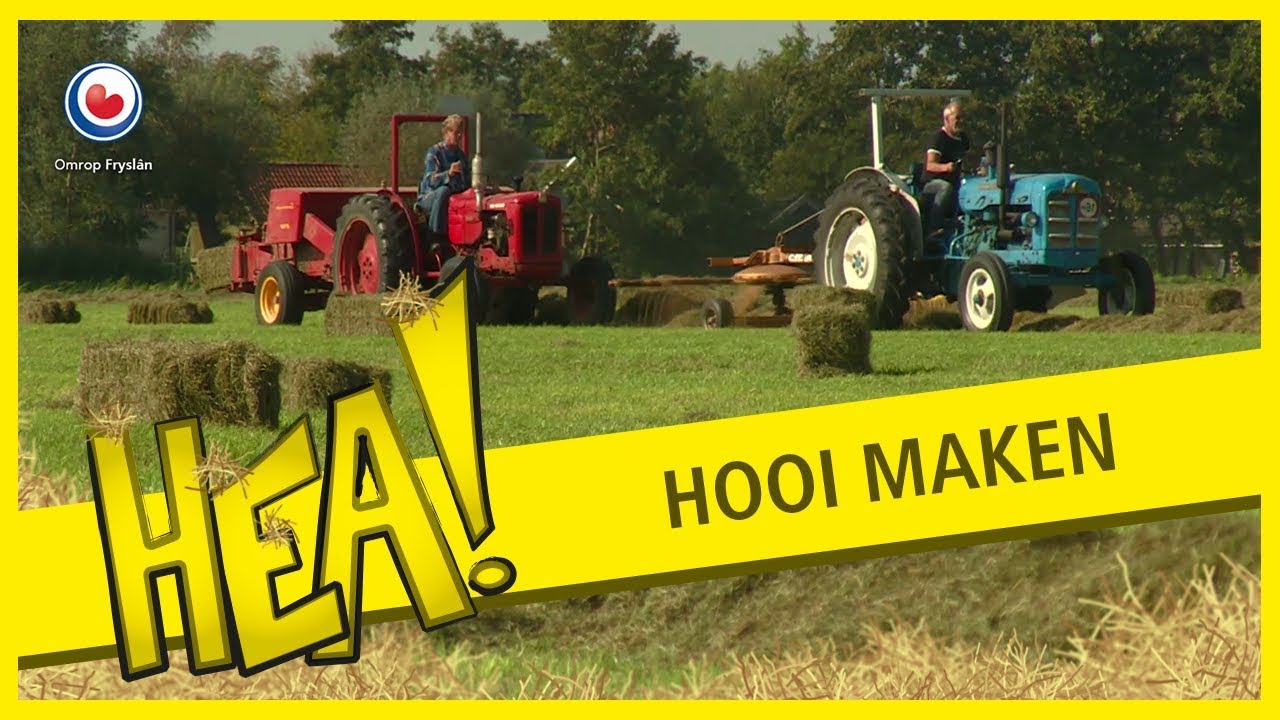 HEA! In het hooi