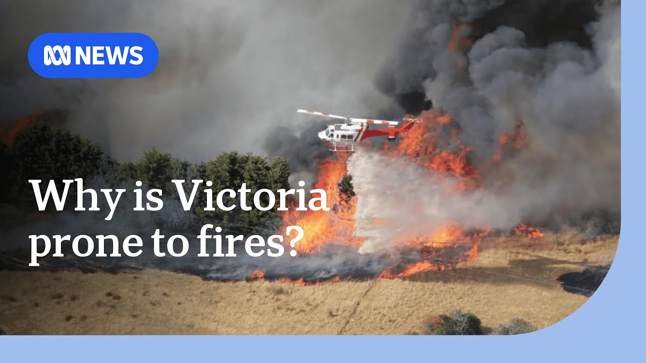 Why Victoria has 'some of the scariest fires' in the world | ABC NEWS