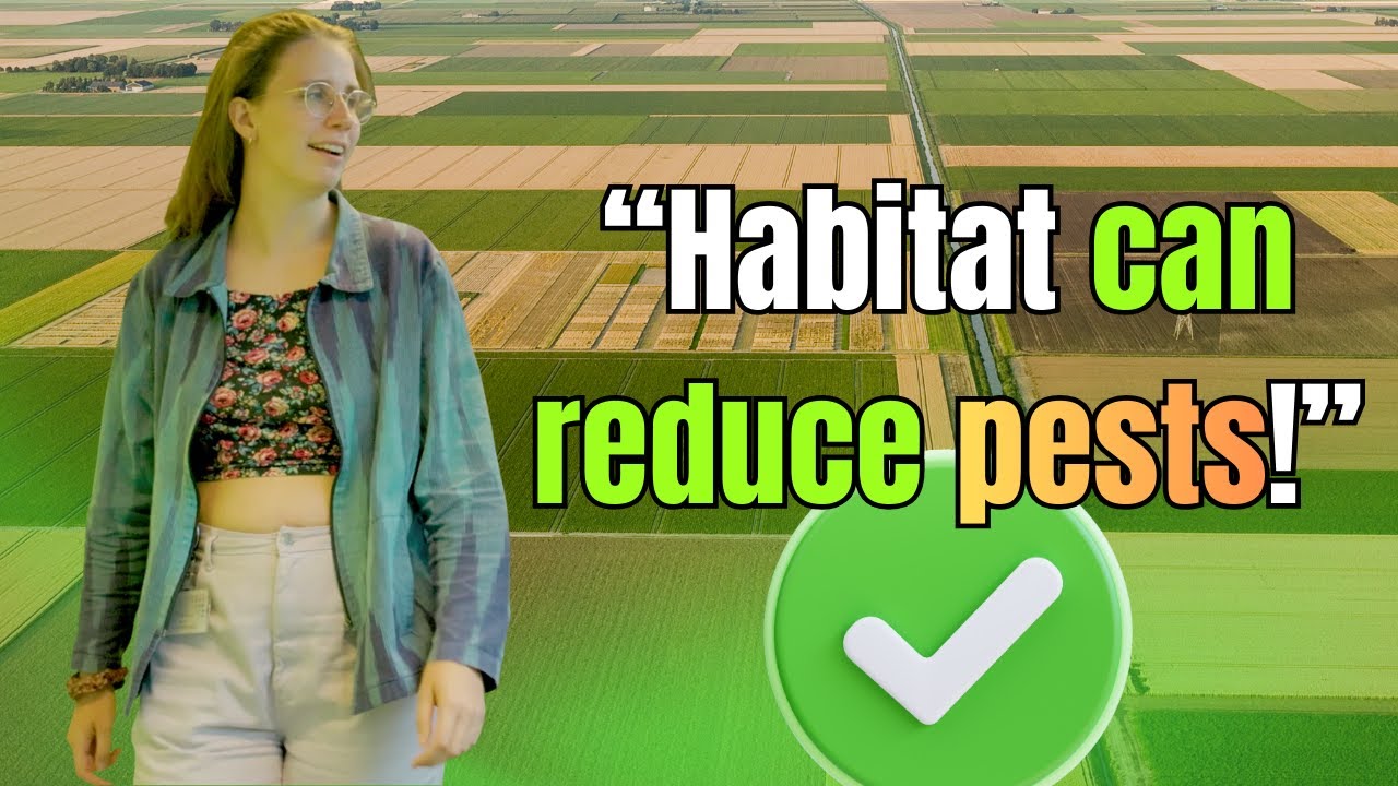 How to Improve Habitats for Natural Pest Control?