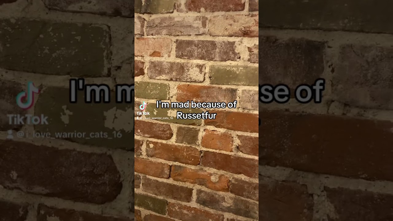 Yellowfang to Raggedstar when he asks why she&rsquo;s upset.