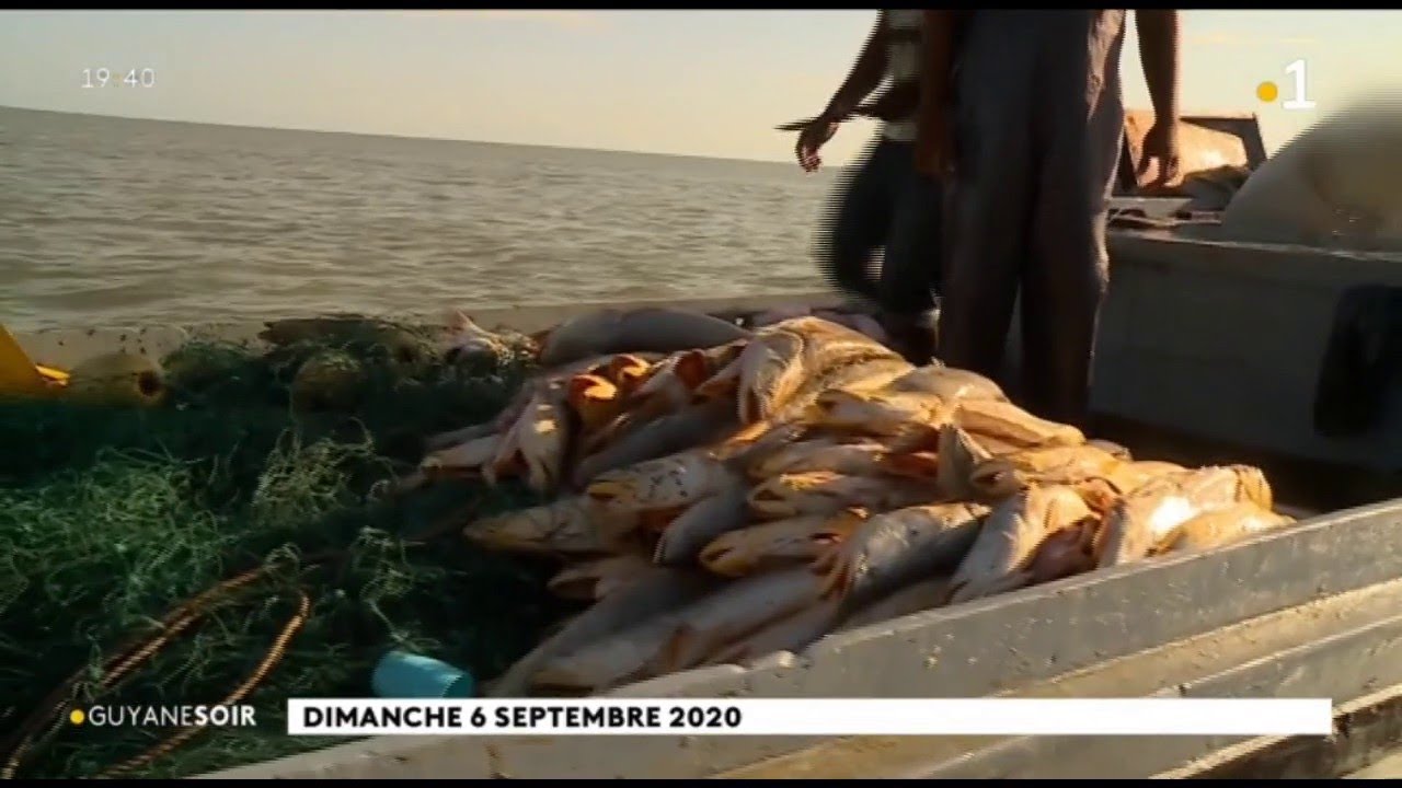 Pêche illégale : reportage à bord de tapouilles venues du Suriname