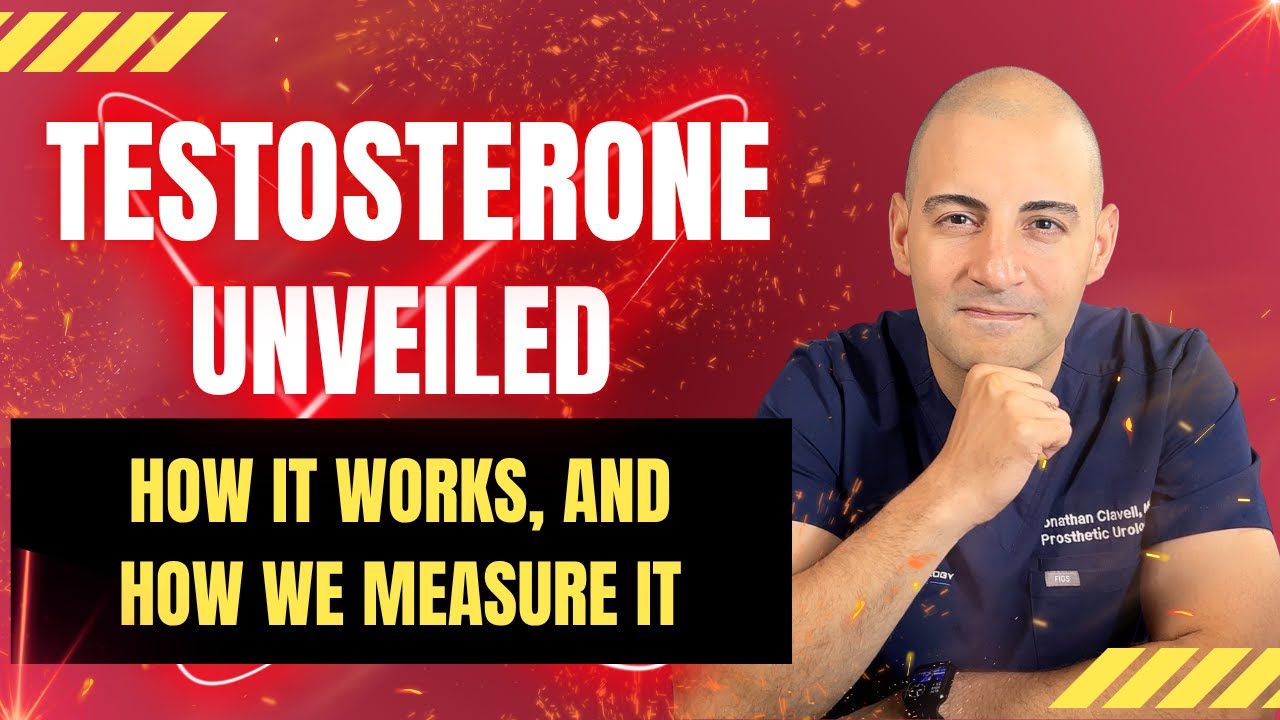 Testosterone Physiology Explained: From Brain Signals to Blood Tests