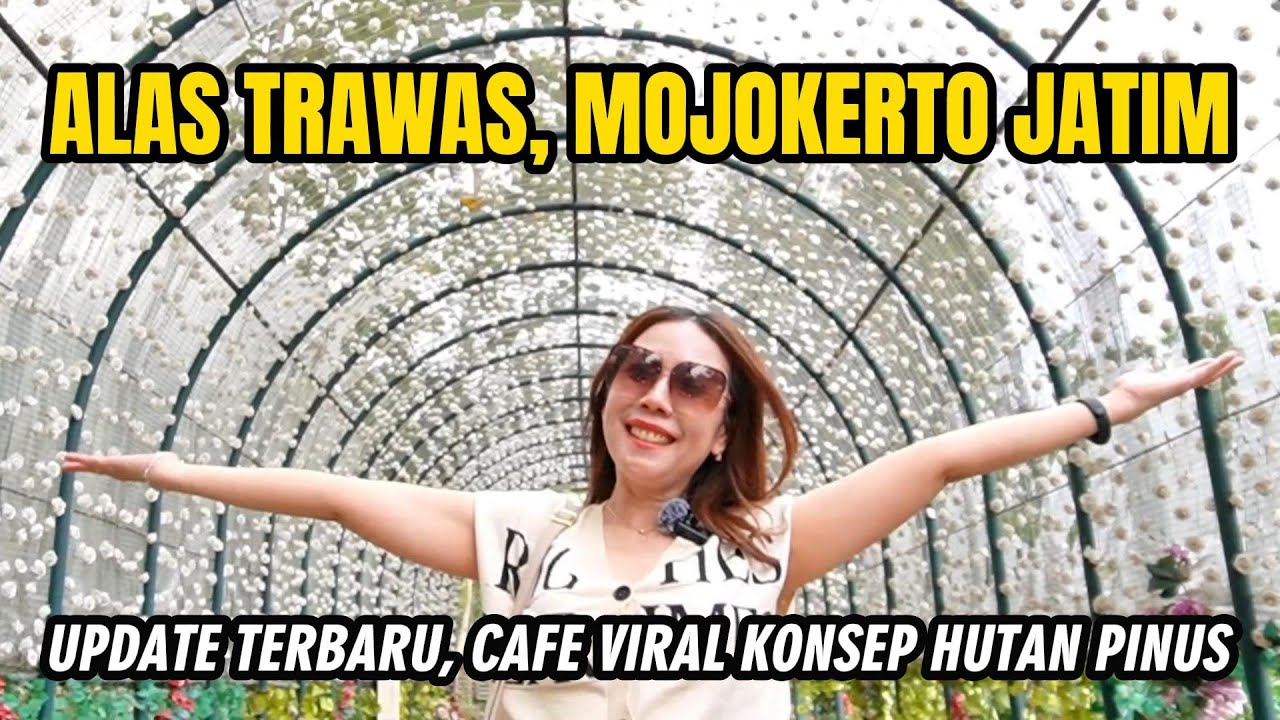ALAS CAFE TRAWAS MOJOKERTO, CAFE VIRAL KONSEP HUTAN PINUS #viral #viralvideo #fypシ #vlog #video
