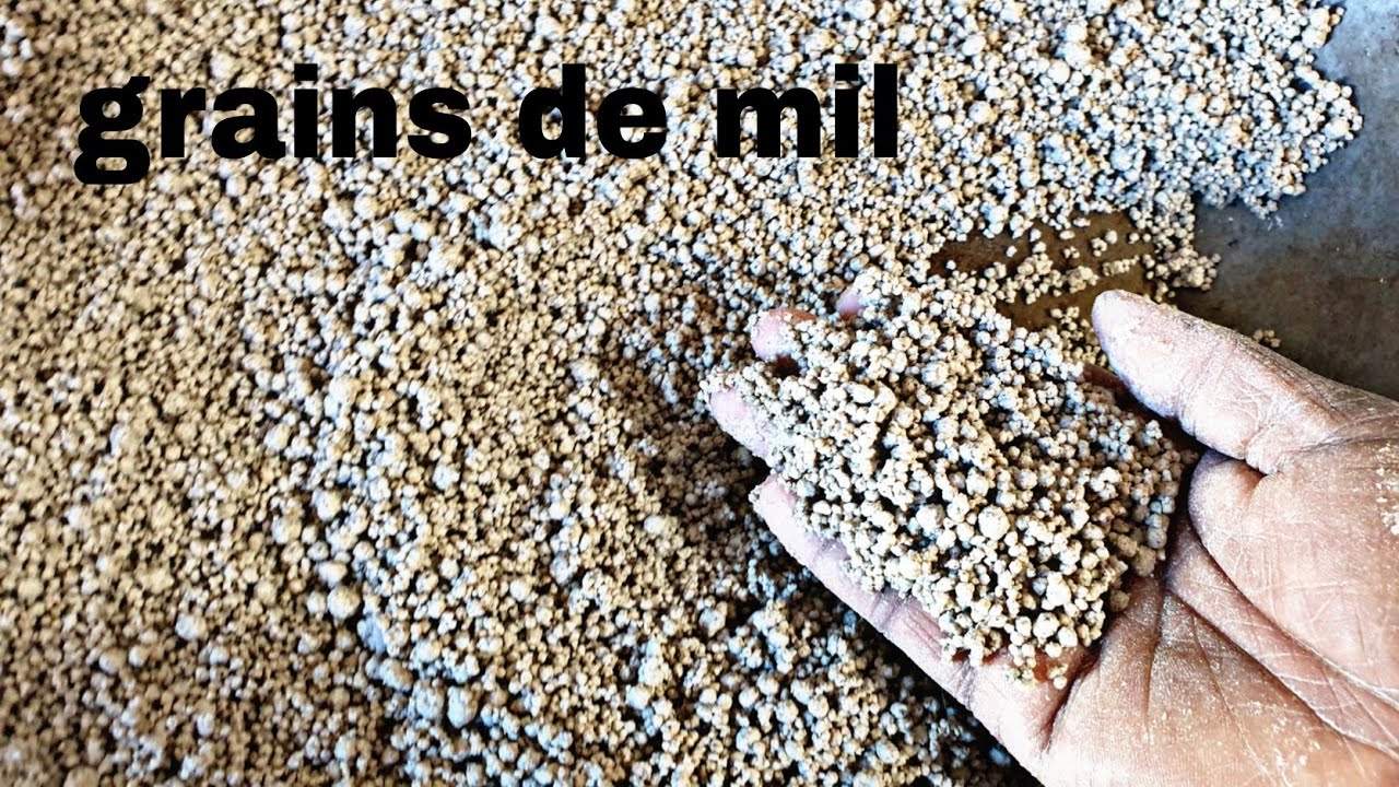 Comment faire ses grains de mil soi même, tuto grains de mil
