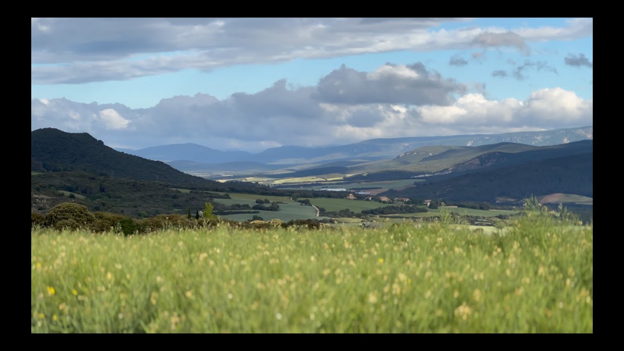 Camino de Santiago 🥾 #07 ( Estella - Sansol )