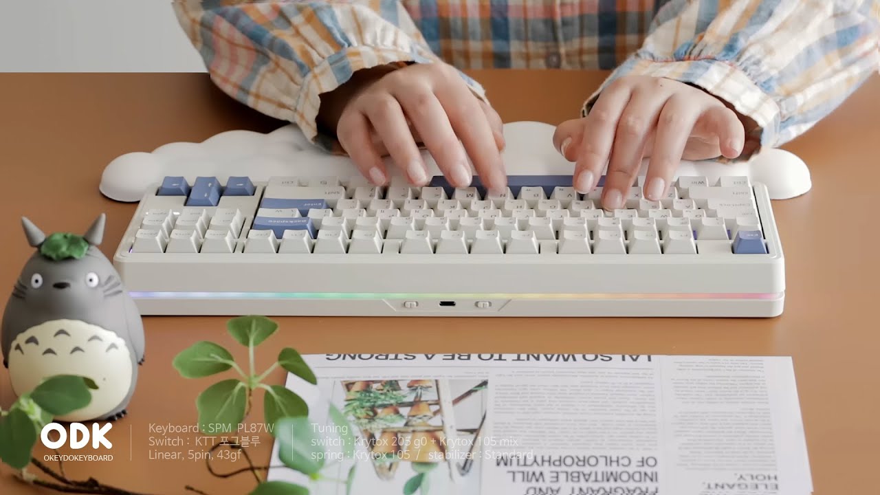 이 키보드 아직 몰라요? SPM PL87W 몽돌
