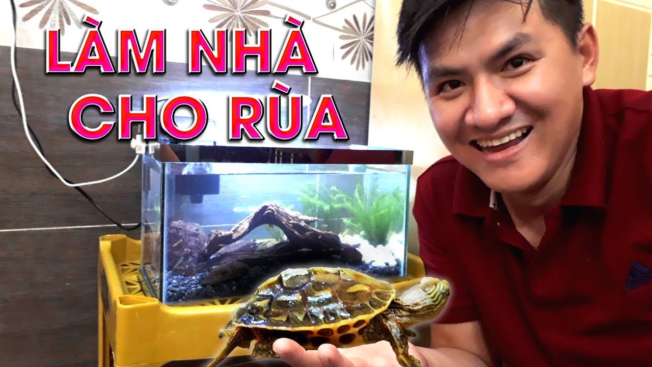 Vamy Trần | Làm Nhà Mới Cho 2 Chú Rùa Con Cực Dễ Thương ( build houses for turtles )