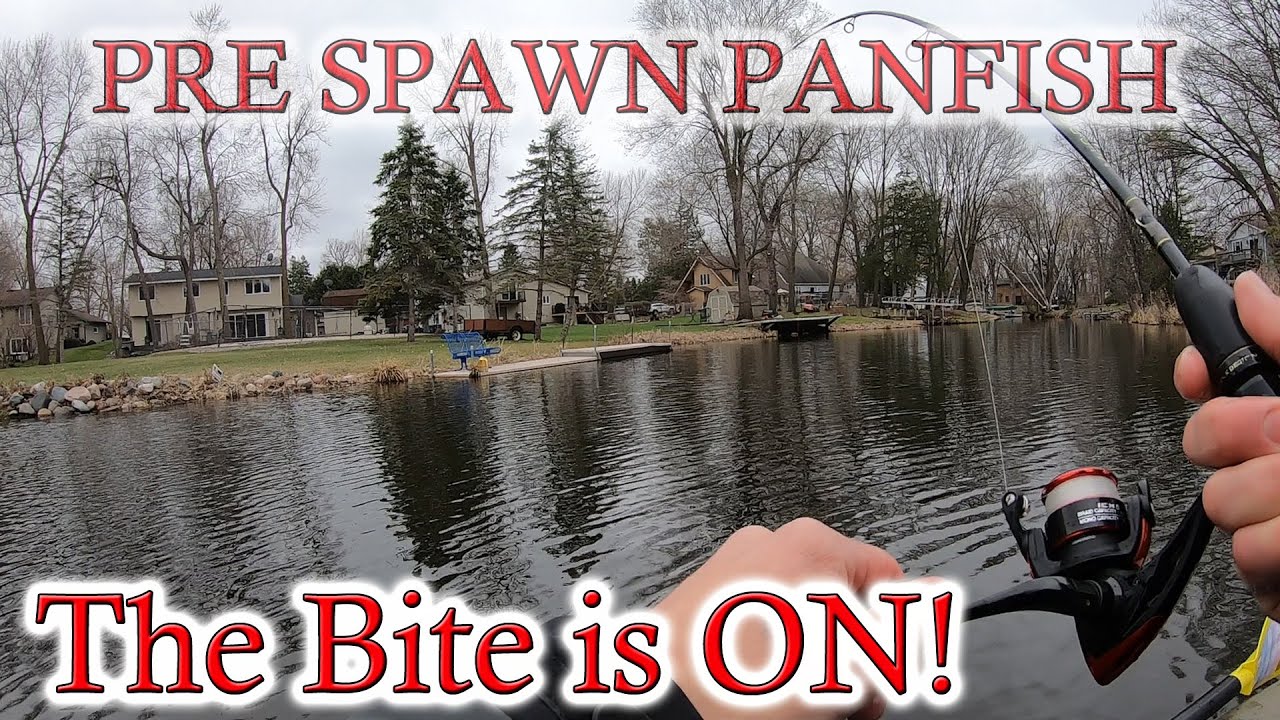 Kayak Fishing in Small Backwater Areas