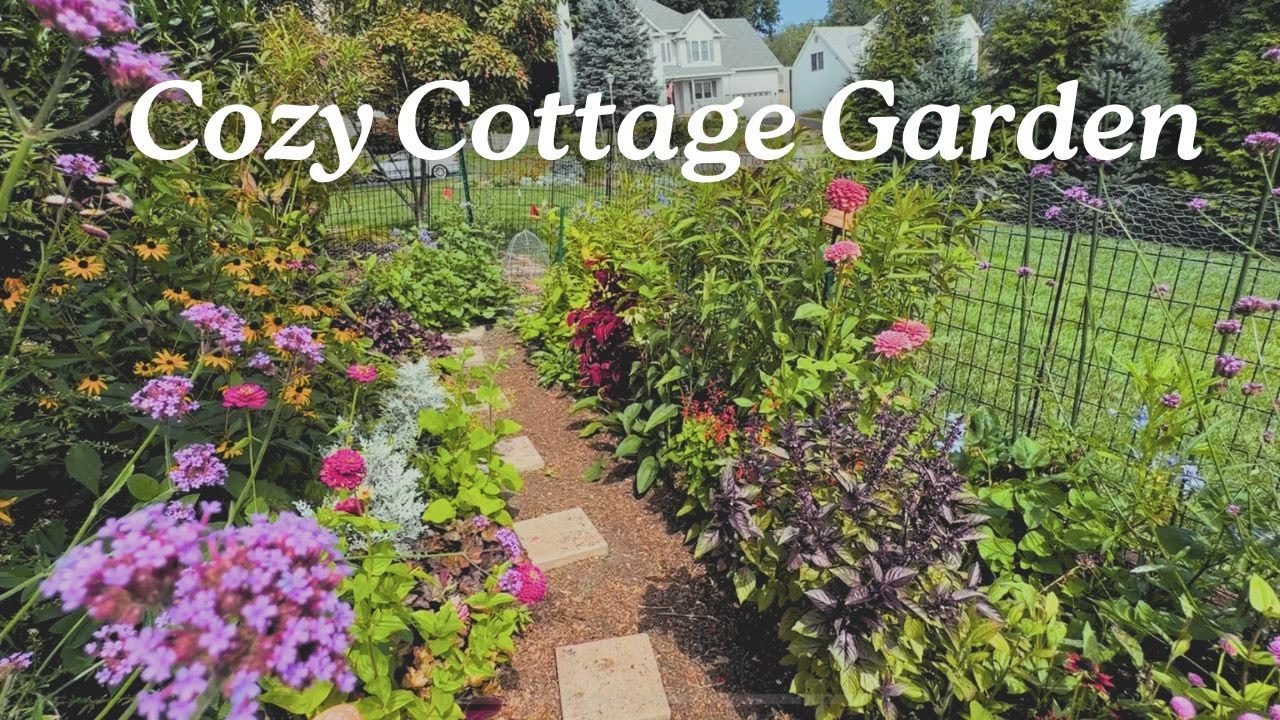 Cozy Cottage Garden - What's growing in September