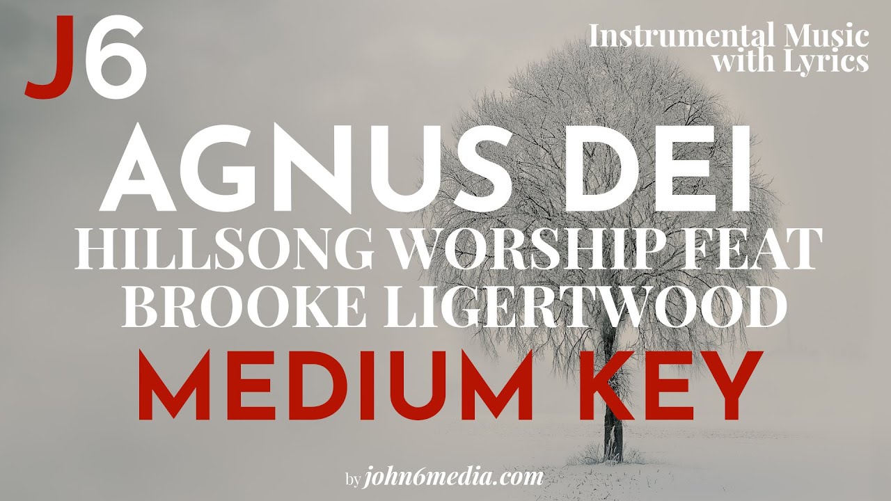 Hillsong Worship | Agnus Dei Instrumental Music with Lyrics Medium Key