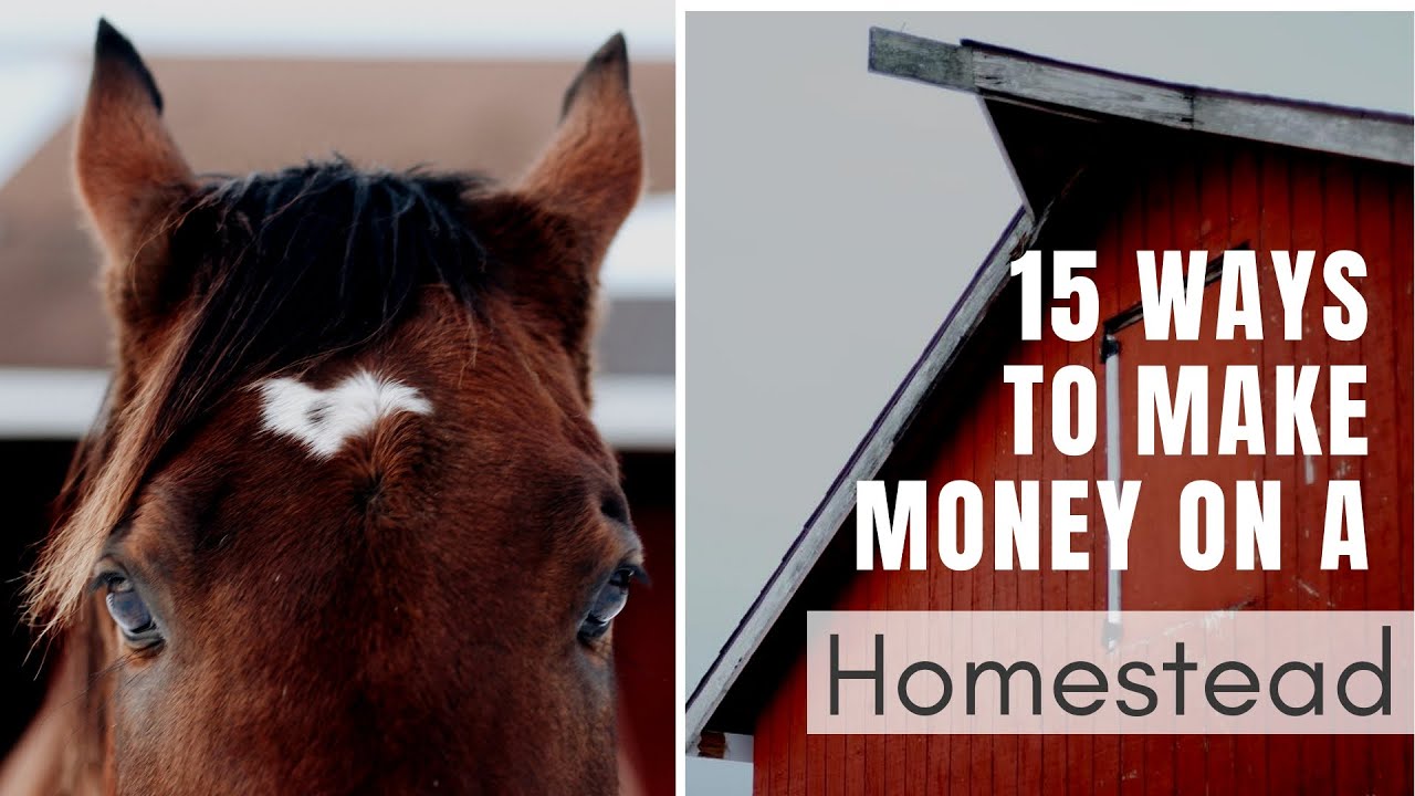 Make Money on a Homestead Without Animal Products