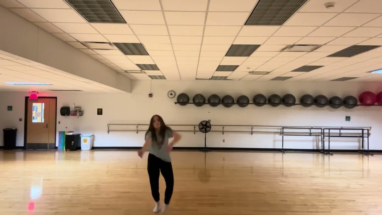 Video journal one