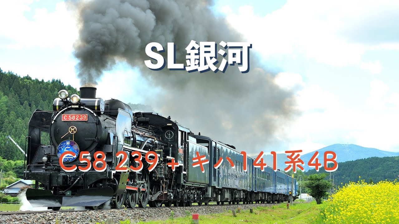 SL銀河 − C58 239 + キハ141系4B(8621レ) #SL銀河 #C58239 #キハ141系4B #8621レ #下鱒沢 #日出 #陸中大橋 #釜石線 #JR東日本 #鉄道動画