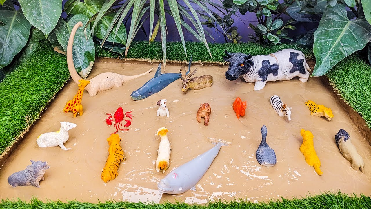 Big Dinosaur Big Cow Stuck In Sandbox Sea Animal Big Sea Whale Big Shark Bengal Tiger Black Goose