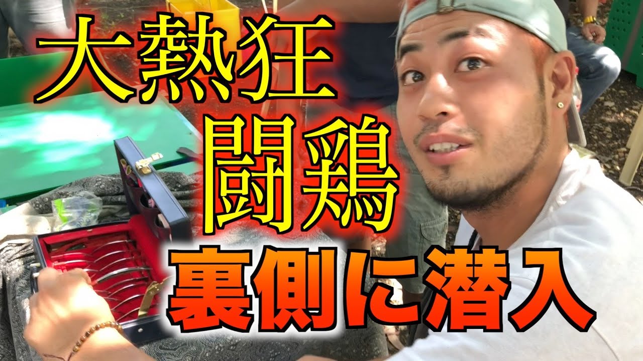 【フィリピン闘鶏】初体験のチキンファイトの裏側に潜入したら衝撃的すぎた