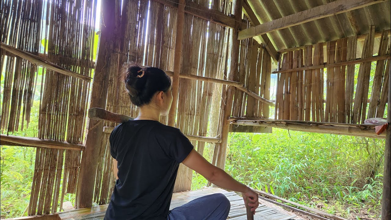 The Girl Who Renovated a Dilapidated House into the Most Livable Place on the Planet