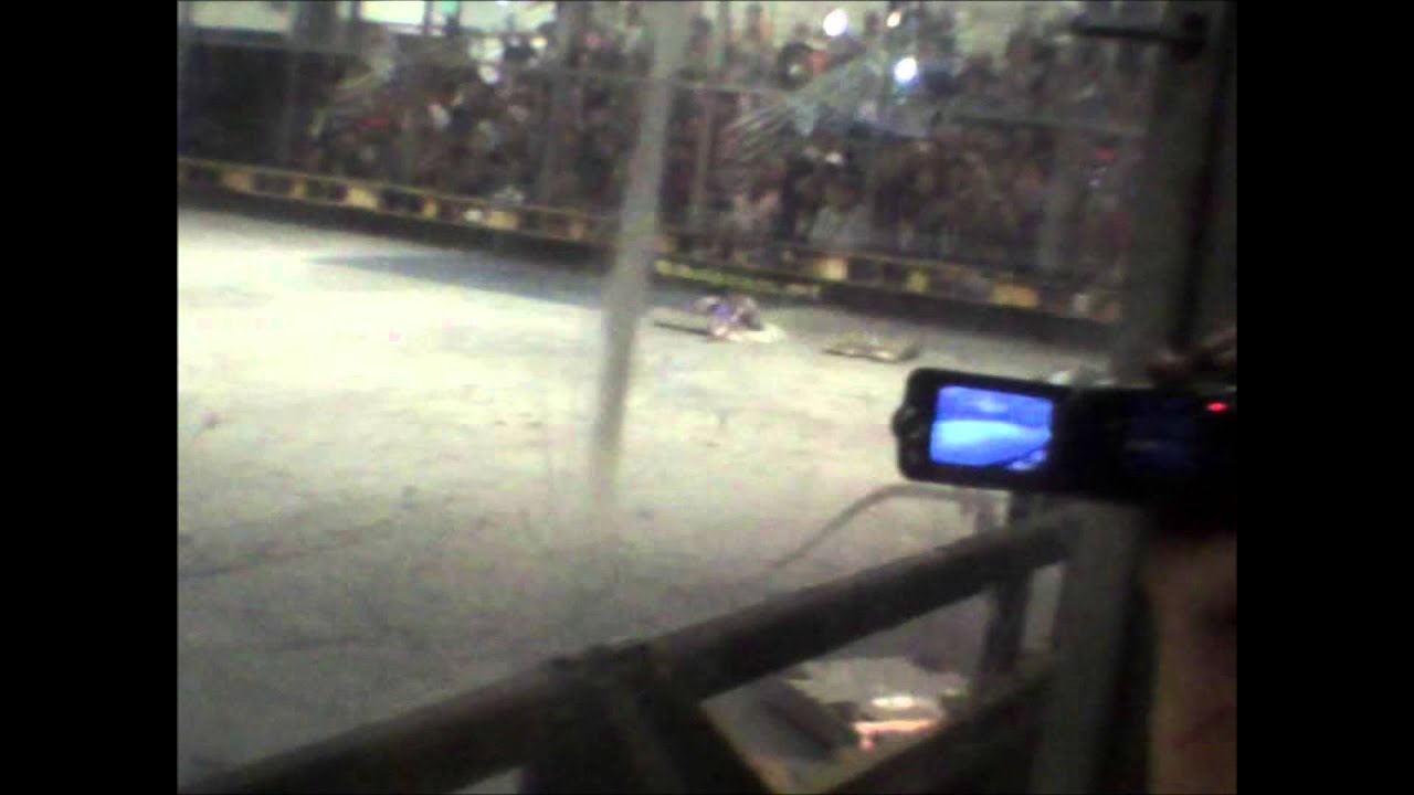 Robogames 2015 - The Bully & Drama Queen vs K2