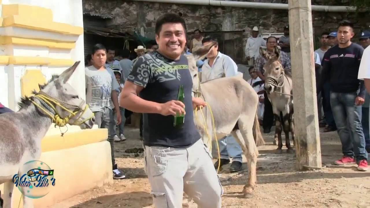 CARRERA DE BURROS   DIA DE VISPERA, LACHIRIOAG 2016