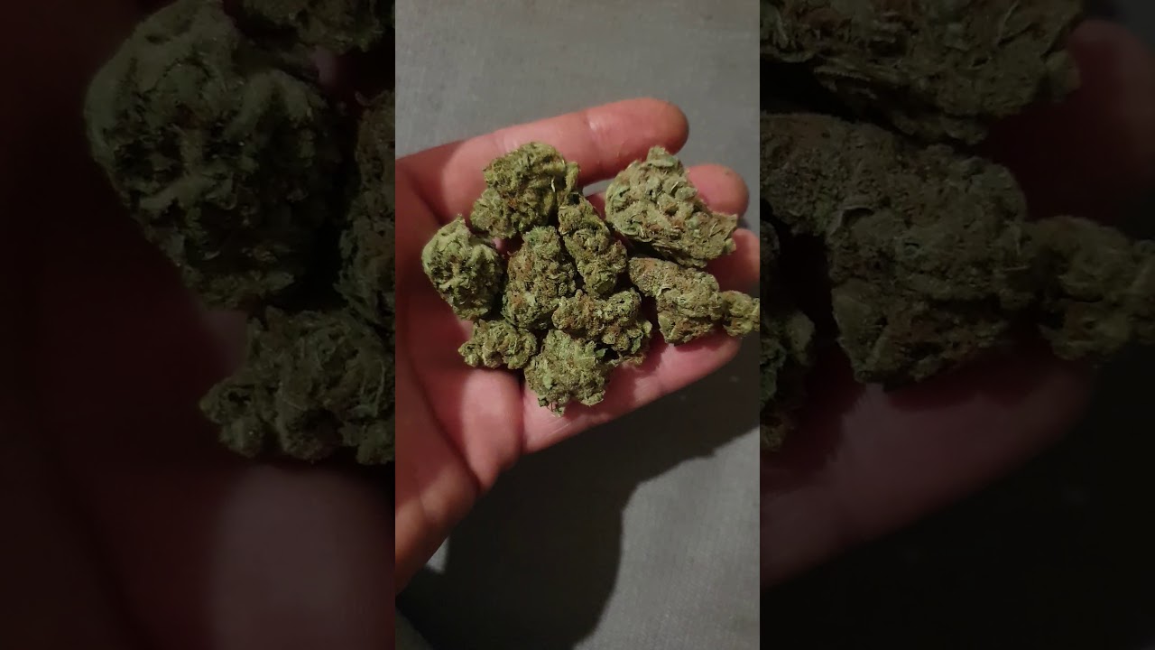 Silverhaze 28,3% THC