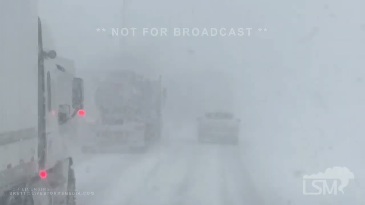 01-19-2026 Lincoln Ontario, Canada  - Whiteout Conditions On The QEW