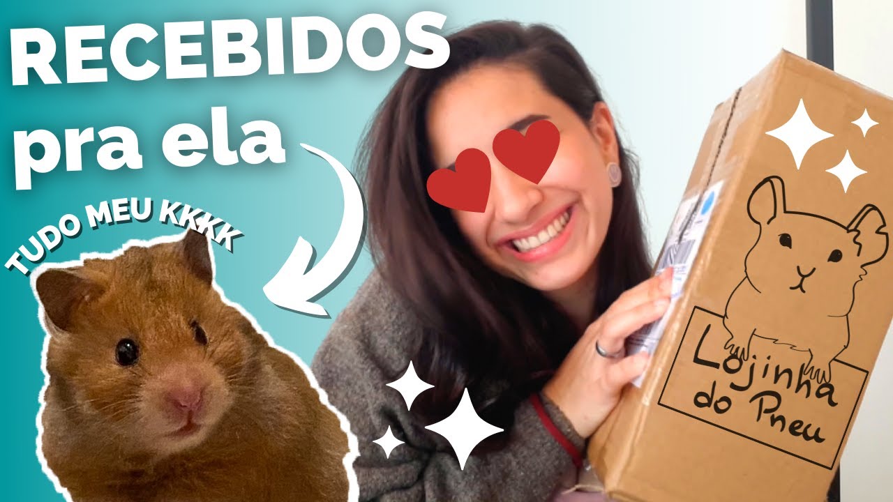 RECEBIDOS! Muitas coisinhas pro meu hamster!