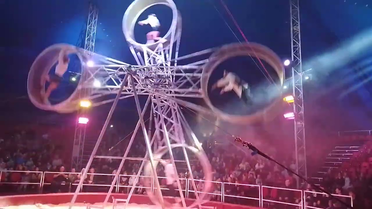 Рождественский цирк в Германии 2025/Weihnachts Zirkus in Deutschland 2025