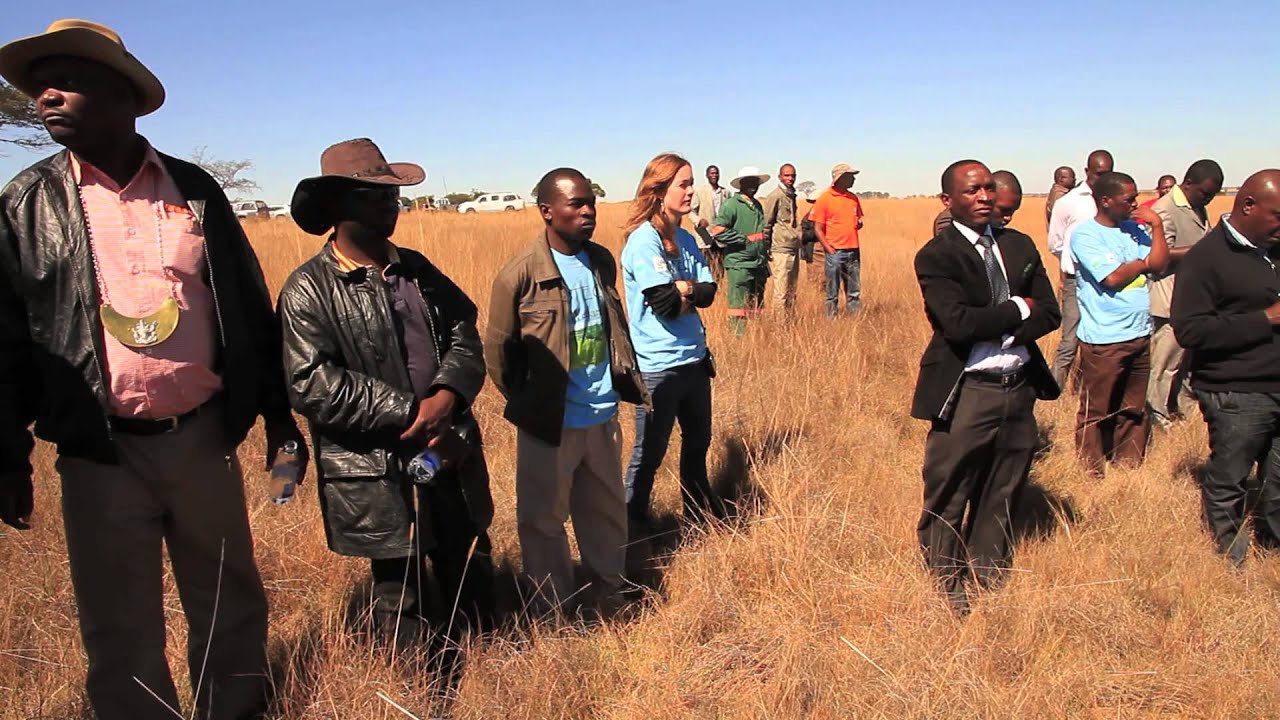 Zimbabwe's Ramsar sites Driefontein Grasslands