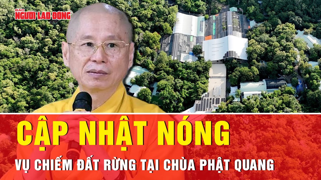 Cập nhật mới nhất vụ vi phạm chiếm đất rừng phòng hộ tại chùa Phật Quang | Thời sự