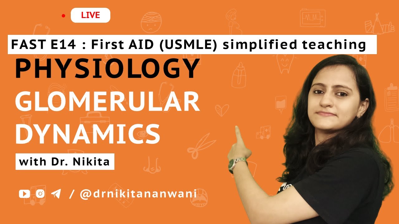 FAST 4 - Glomerular dynamics
